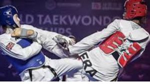 The Art and Spirit of Taekwondo A Journey of Discipline, Honor, and Self-Discovery