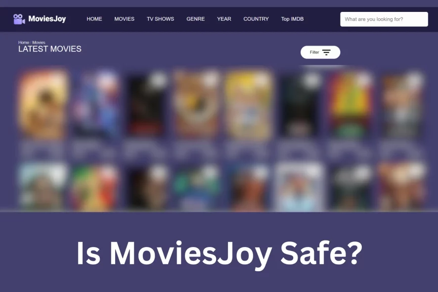 Is Moviesjoy.to Safe? Streaming Platform